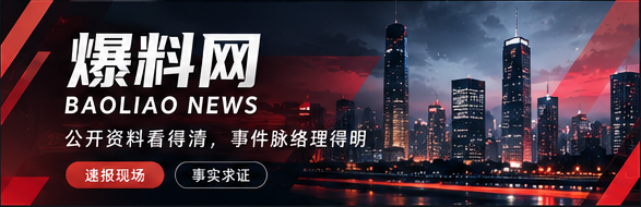 爆料网品牌主题视觉
